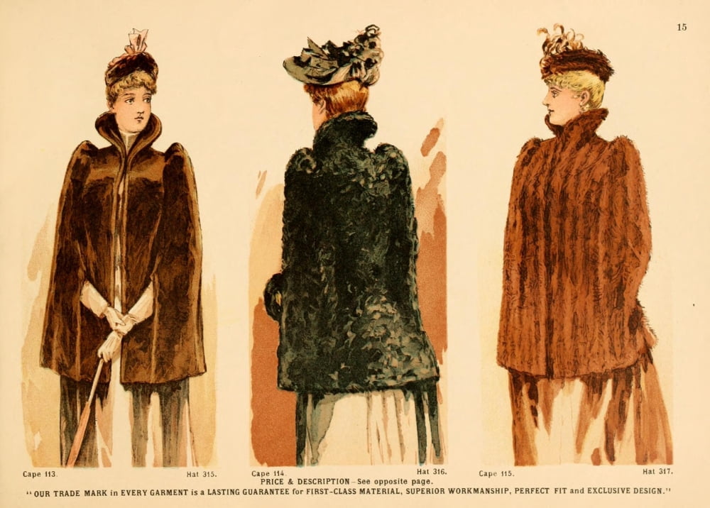 Posterazzi Winter dress 5 Canvas Art - Unknown (24 x 36)