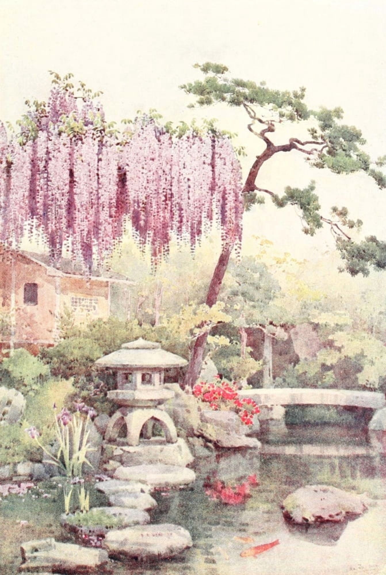 Posterazzi Wisteria in a Kyoto Garden Flowers & Gardens of Japan 1908 Canvas Art - Ella Du Cane (24 x 36)