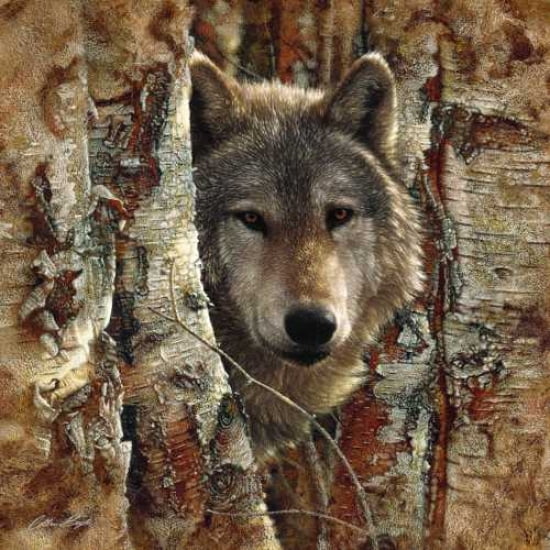 Posterazzi Wolf Spirit Canvas Art - Colin Bogle (24 x 24)
