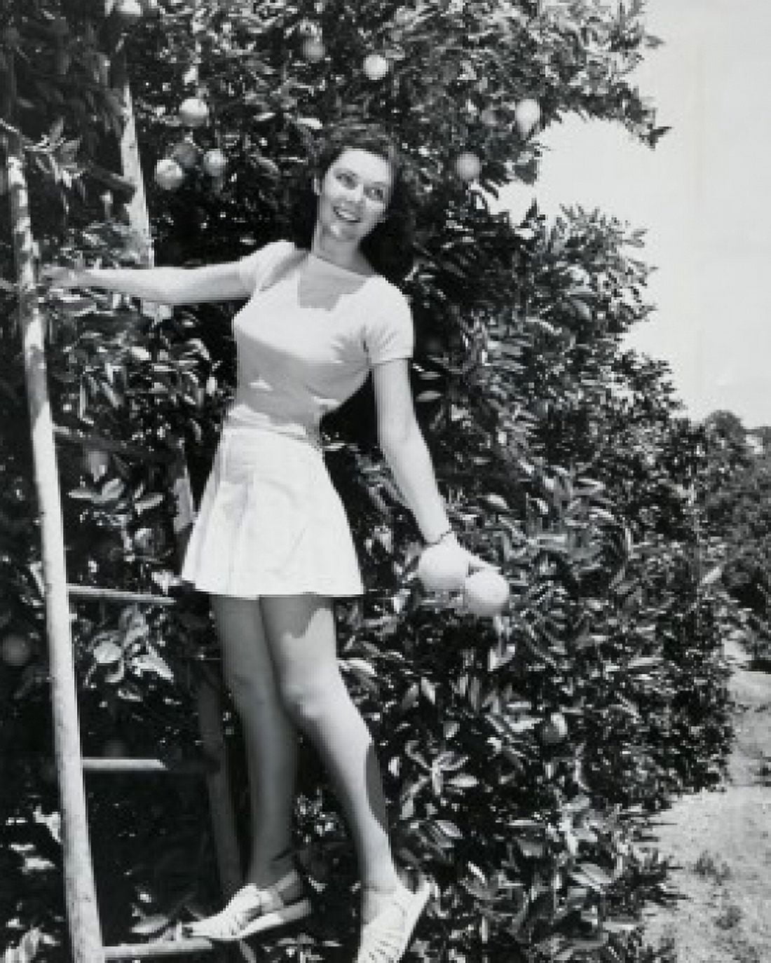 Posterazzi Woman in Orange GroveFloridaUSA Canvas Art - (24 x 36)