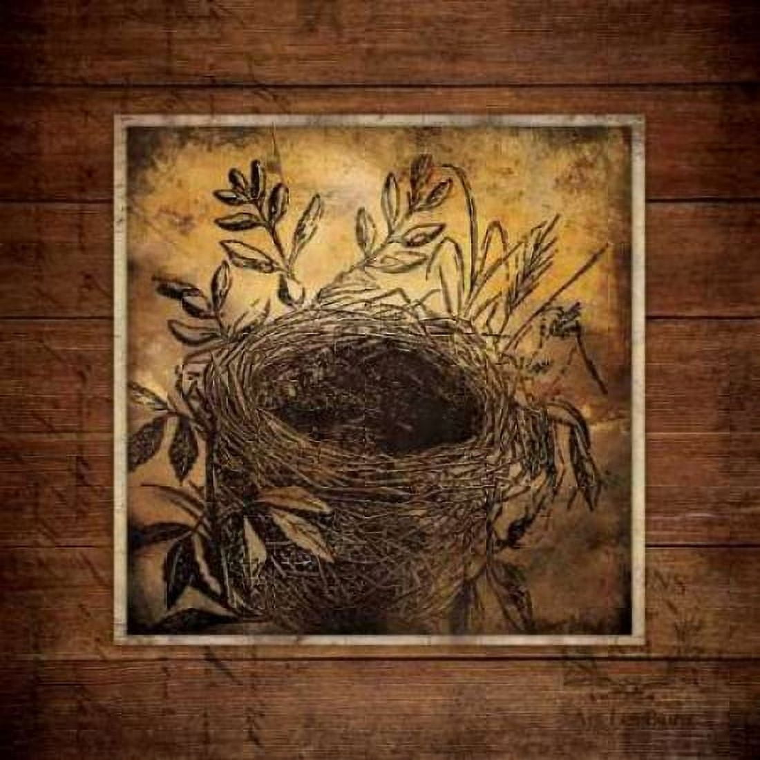 Posterazzi Woodland Nest Canvas Art - Stephanie Marrott (24 x 24)