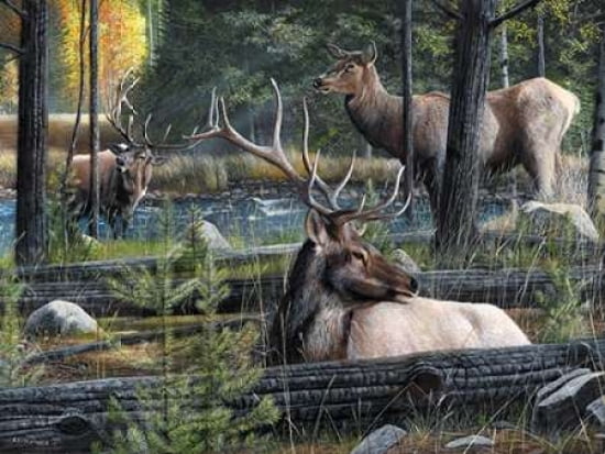 Posterazzi Woodland Serenity Canvas Art - Kevin Daniel (22 x 28)