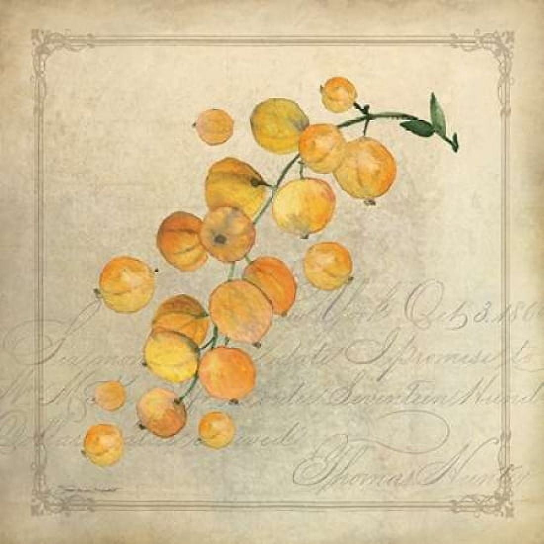 Posterazzi Yellow Berries Canvas Art - Stephanie Marrott (24 x 24)