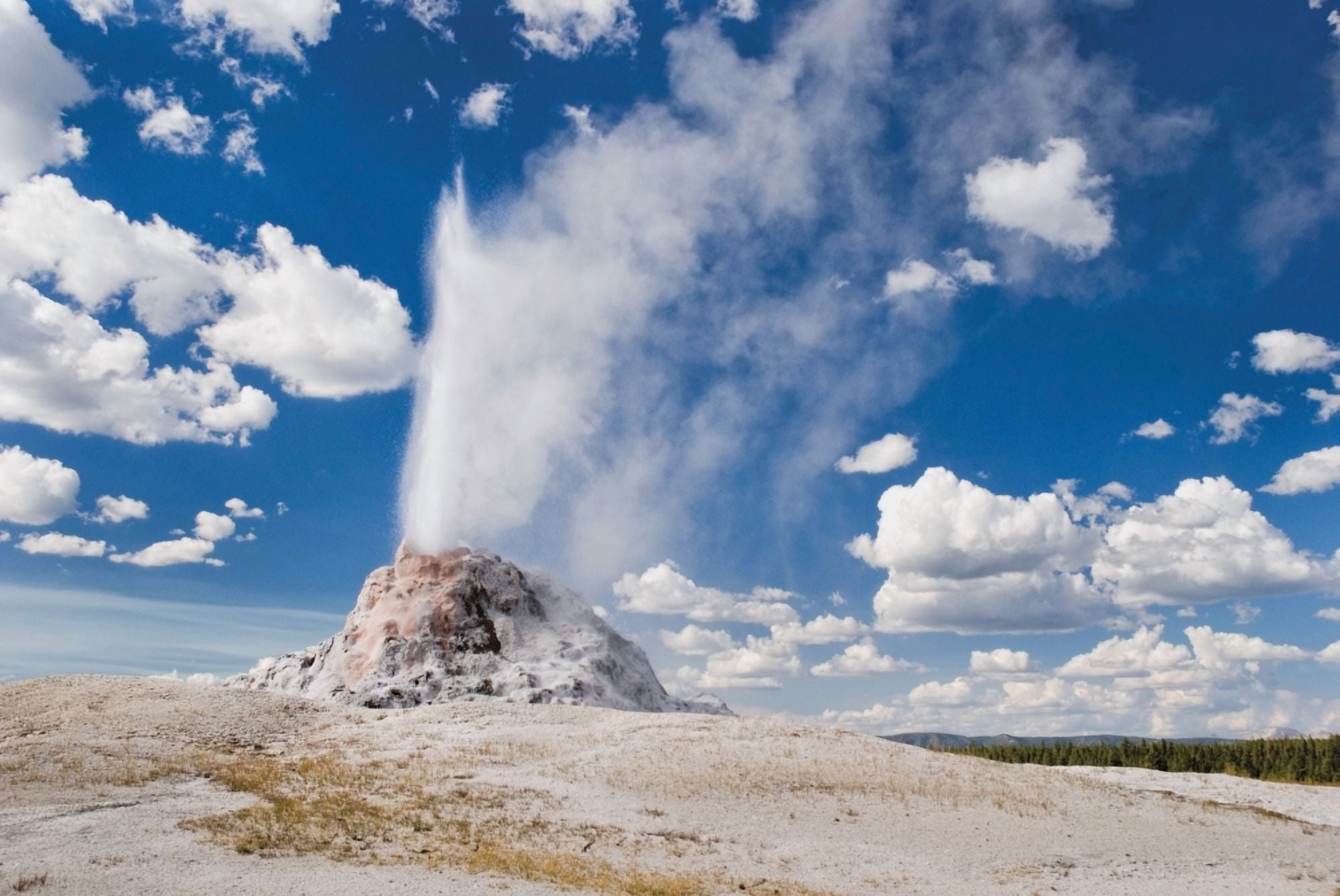 Posterazzi Yellowstone National Park United States Of America The White Dome Geyser Erupting Canvas Art - Philippe Widling Design Pics (38 x 24)