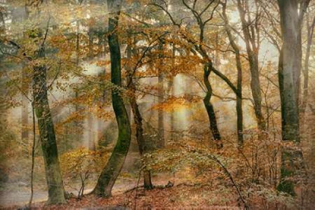 Posterazzi You Cant Hide Your Rays for Me Canvas Art - Lars Van de Goor (24 x 36)