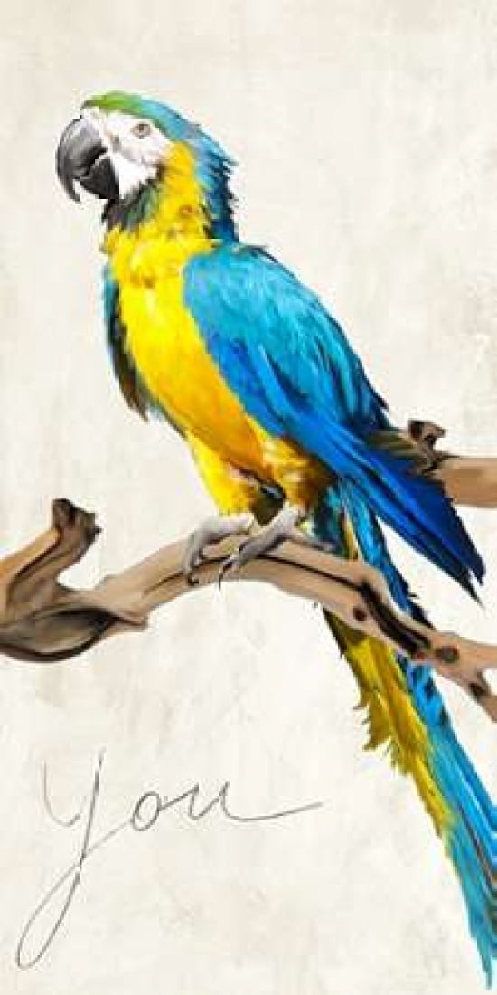 Posterazzi You Canvas Art - Teo Rizzardi (10 x 20)
