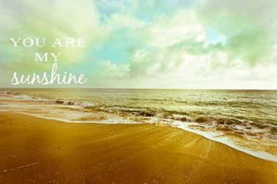 Posterazzi You are My Sunshine Canvas Art - Susan Bryant (24 x 36)