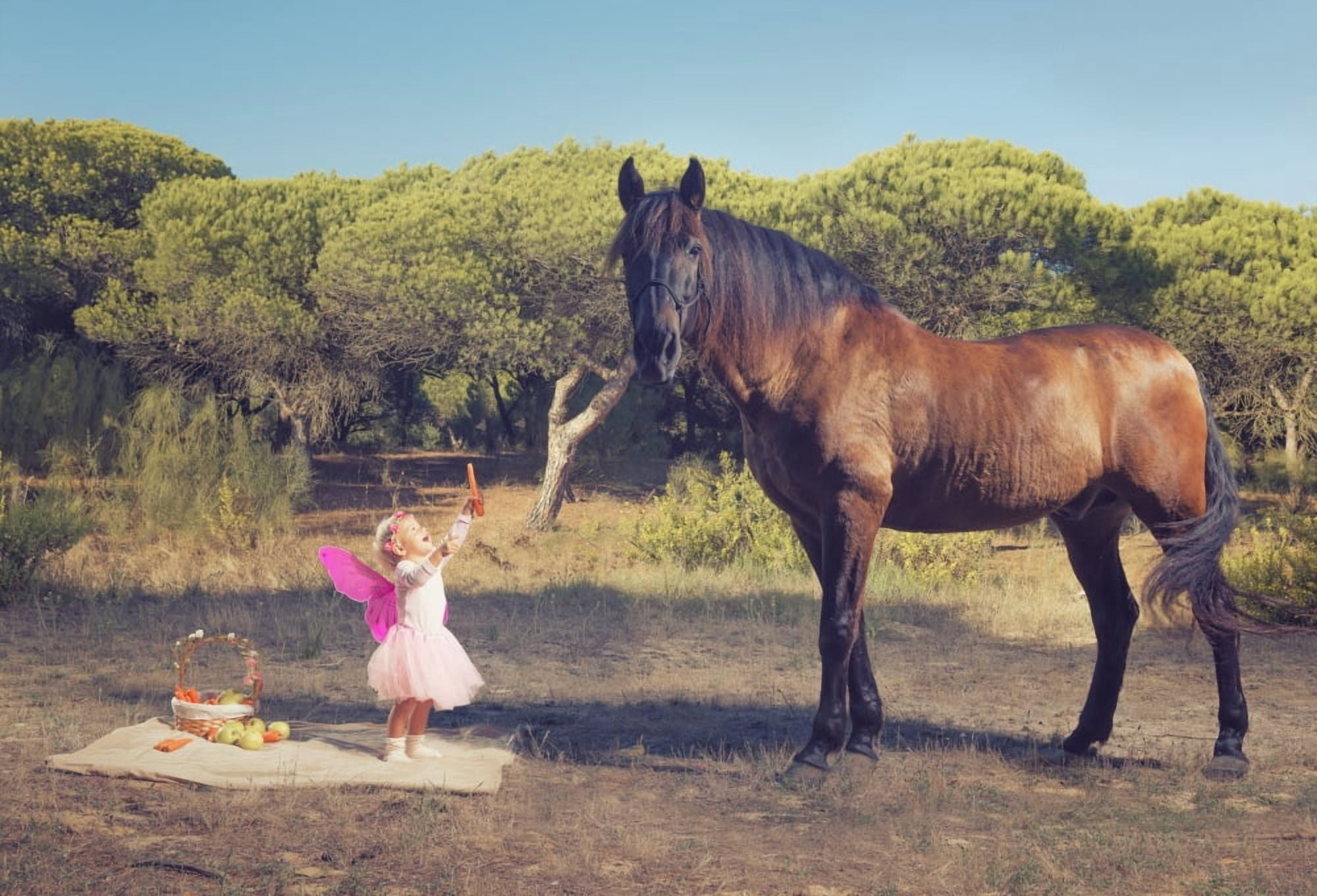 Posterazzi Young girl with pink ferry wings and a brown horse Tarifa Cadiz Andalusia Spain Canvas Art - Ben Welsh Design Pics (36 x 24)
