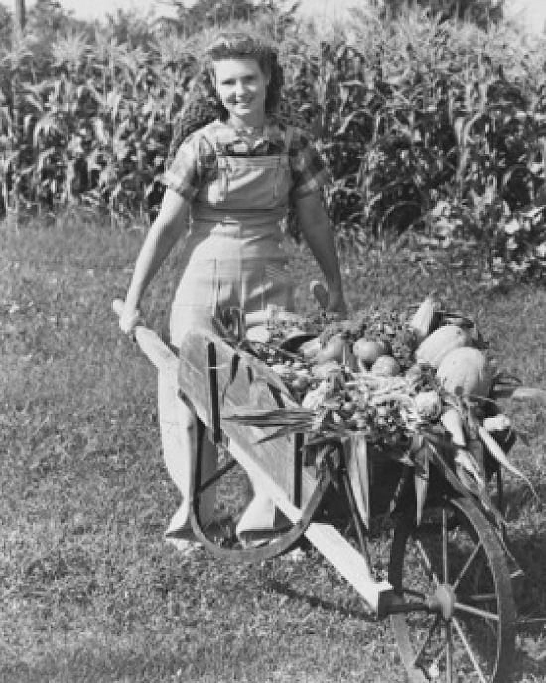 Posterazzi Young woman pushing a wheelbarrow with assorted vegetables in it Canvas Art - (24 x 36)