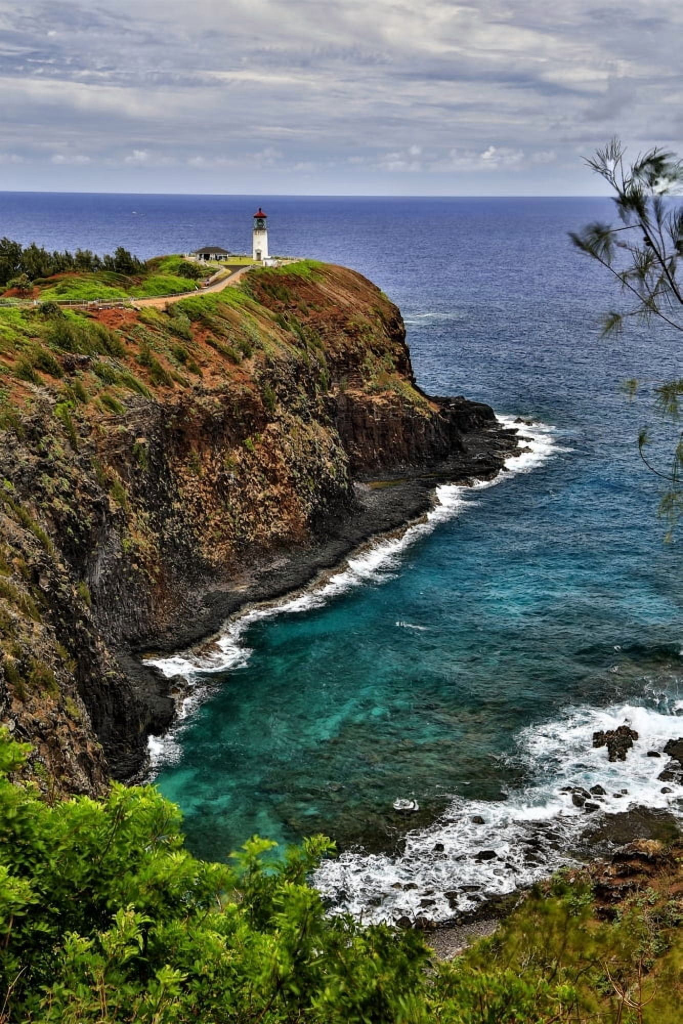 Posterazzi A lighthouse at the end of a trail above a cliff along the coast Kilauea Point Hawaii United States of America Canvas Art - Scott Mead Design Pics (24 x 38)