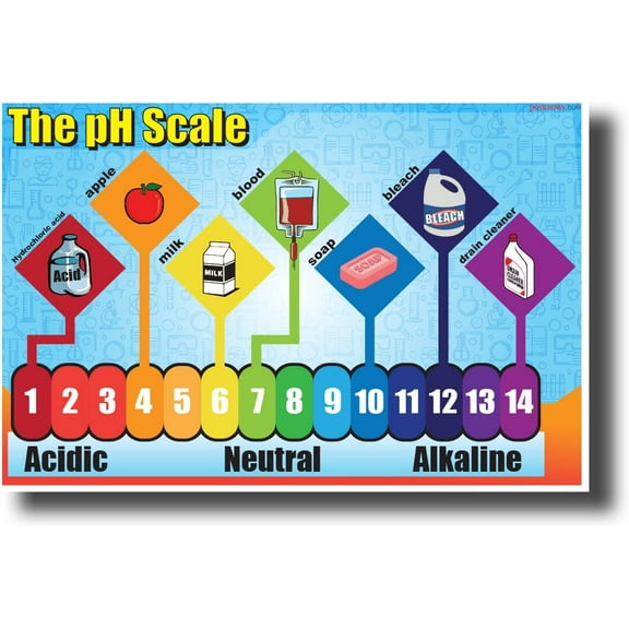 Posterenvy The pH Scale - New Classroom Science Poster 12 x 18 Posters