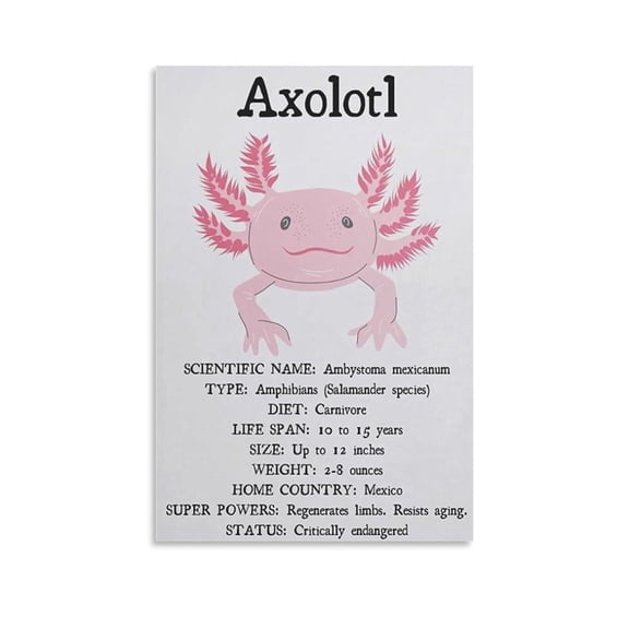 Posters Animal Science Poster Salamander Poster Kids Salamander Facts Guide Painting Poster Canvas Wall Art Picture Office Family Bedroom Living Room Decor Aesthetic