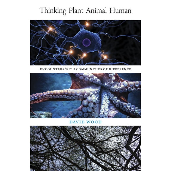 Posthumanities: Thinking Plant Animal Human : Encounters with Communities of Difference (Series #56) (Paperback)