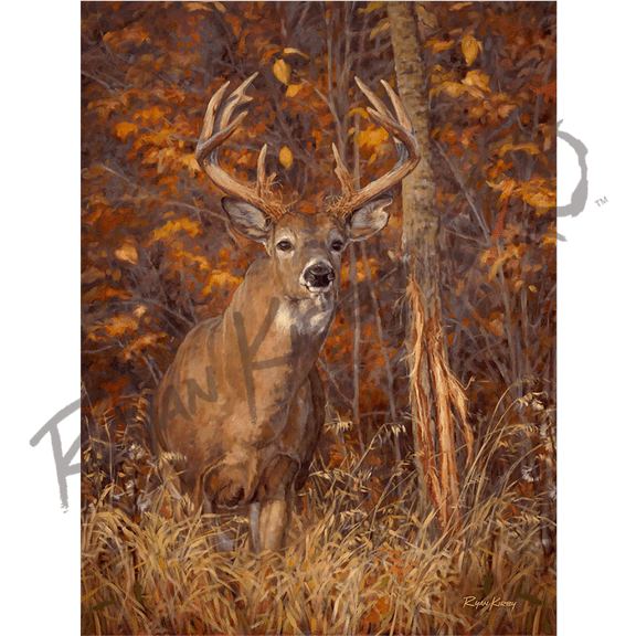 "Posting Up" White-tailed Deer Canvas Art Print