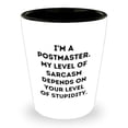 thumbnail image 1 of Postmaster's Sarcasm Keeps Me Excited White Shot Glass, Birthday Unique Gifts from Friends or Family, 1 of 3
