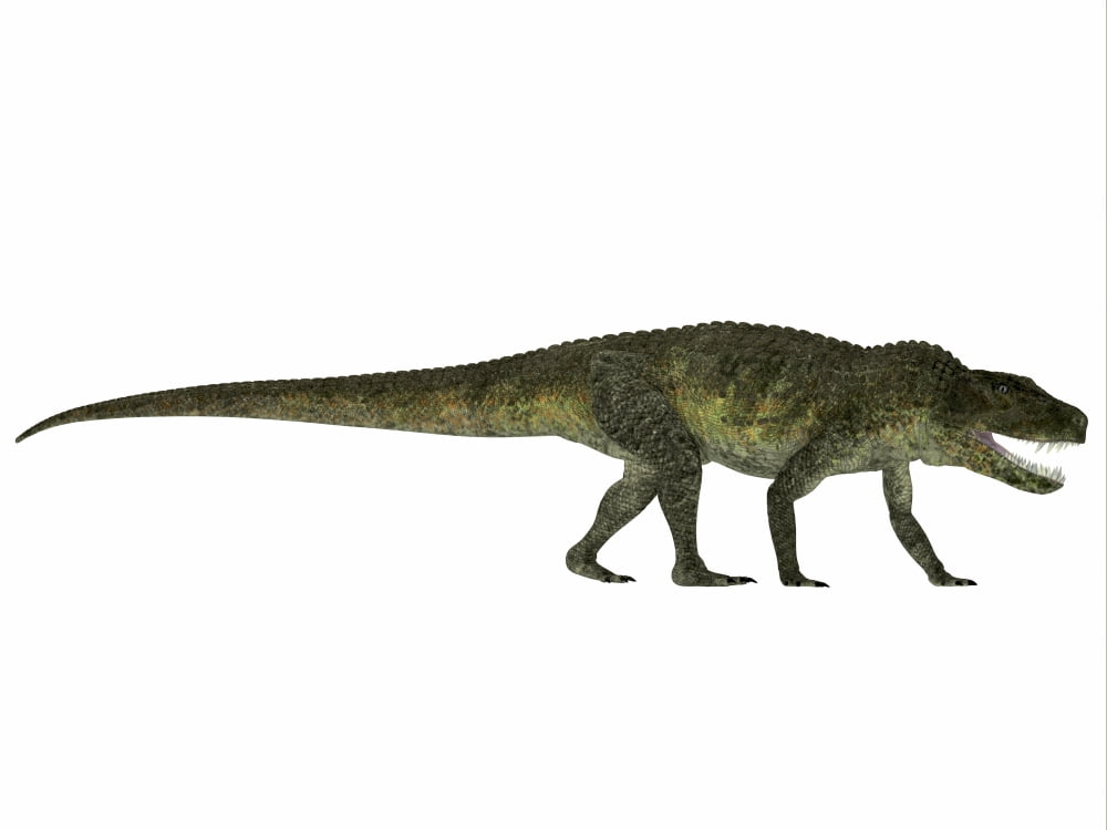 Postosuchus reptile from the Triassic Period Canvas Art - Corey FordStocktrek Images (17 x 13)