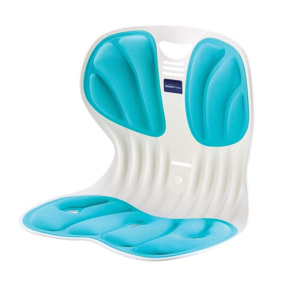 Posture Pro Lumbar Support Sit up Easy