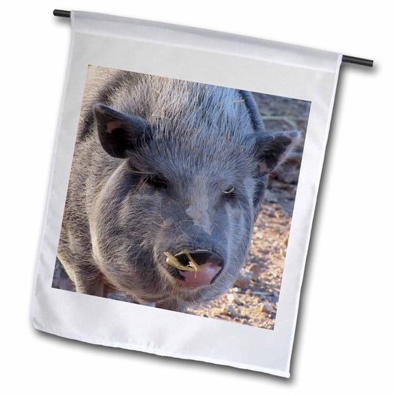 3dRose, Pot Belly Pig, 12 x 18 inch Garden Flag