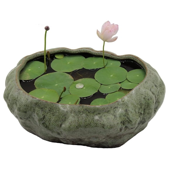 Pot, Shallow Planter Pot, Goldfish Pot, Premium Ceramic with Decorative Copper Glaze