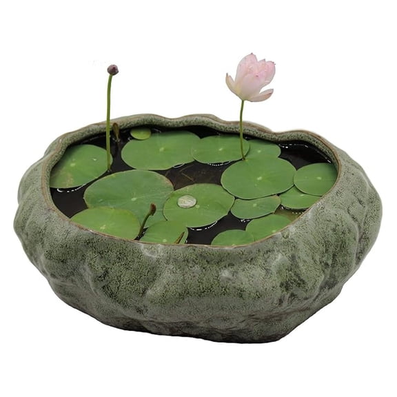 Pot, Shallow Planter Pot, Goldfish Pot, Premium Ceramic with Decorative Copper Glaze