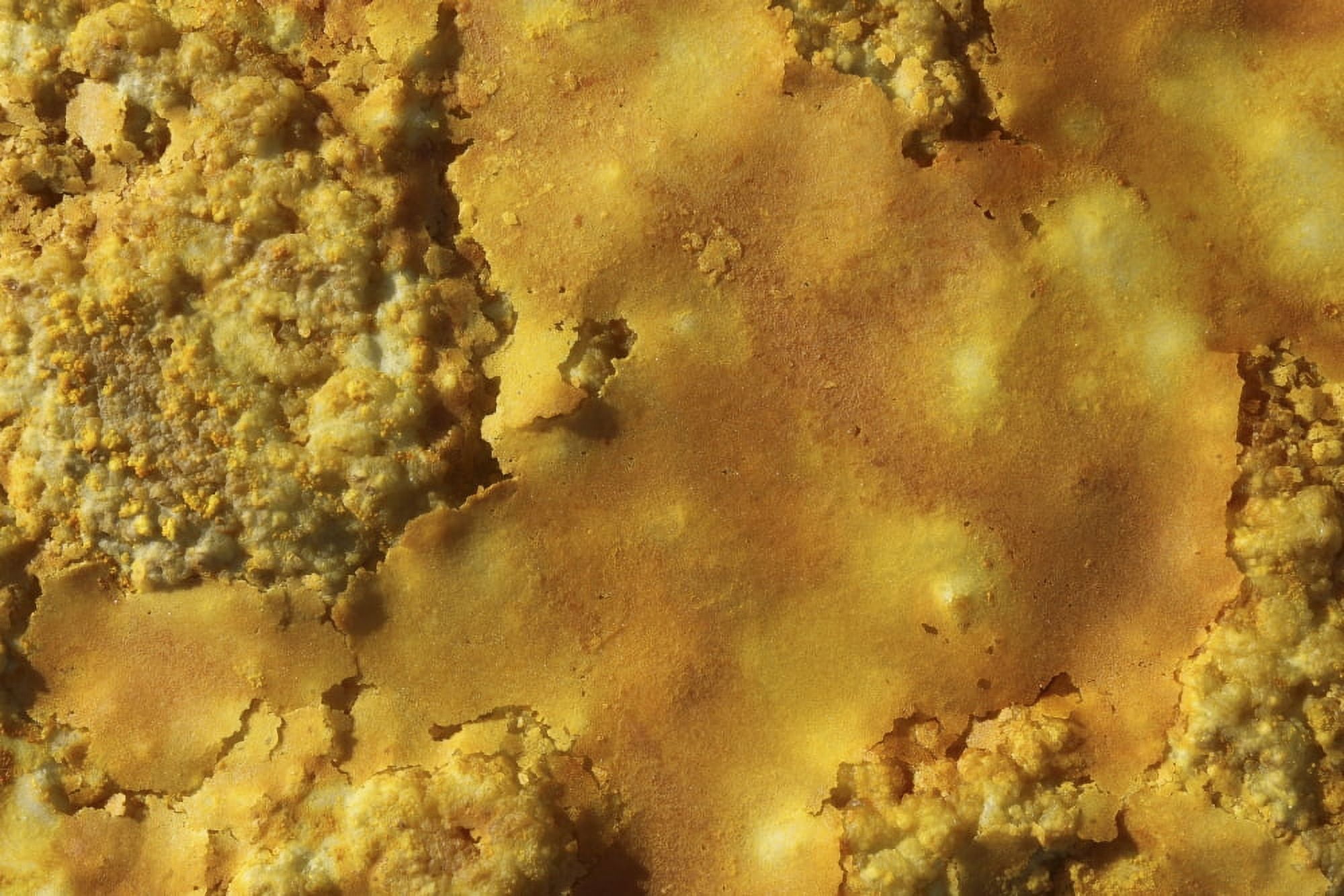 Potassium salt crust Dallol geothermal area Danakil Depression Ethiopia Canvas Art - Richard RoscoeStocktrek Images (18 x 12)