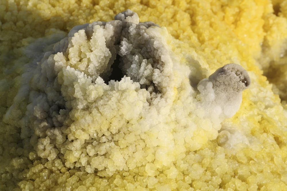 Potassium salt deposits Dallol geothermal area Danakil Depression Ethiopia Canvas Art - Richard RoscoeStocktrek Images (18 x 12)