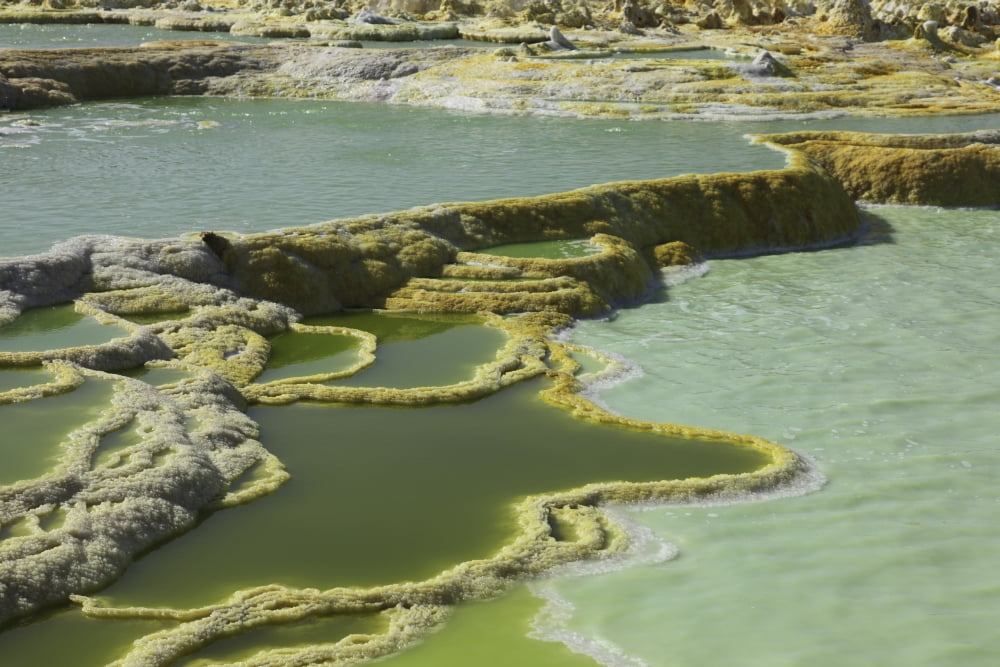 Potassium salt deposits Dallol geothermal area Danakil Depression Ethiopia Canvas Art - Richard RoscoeStocktrek Images (18 x 12)