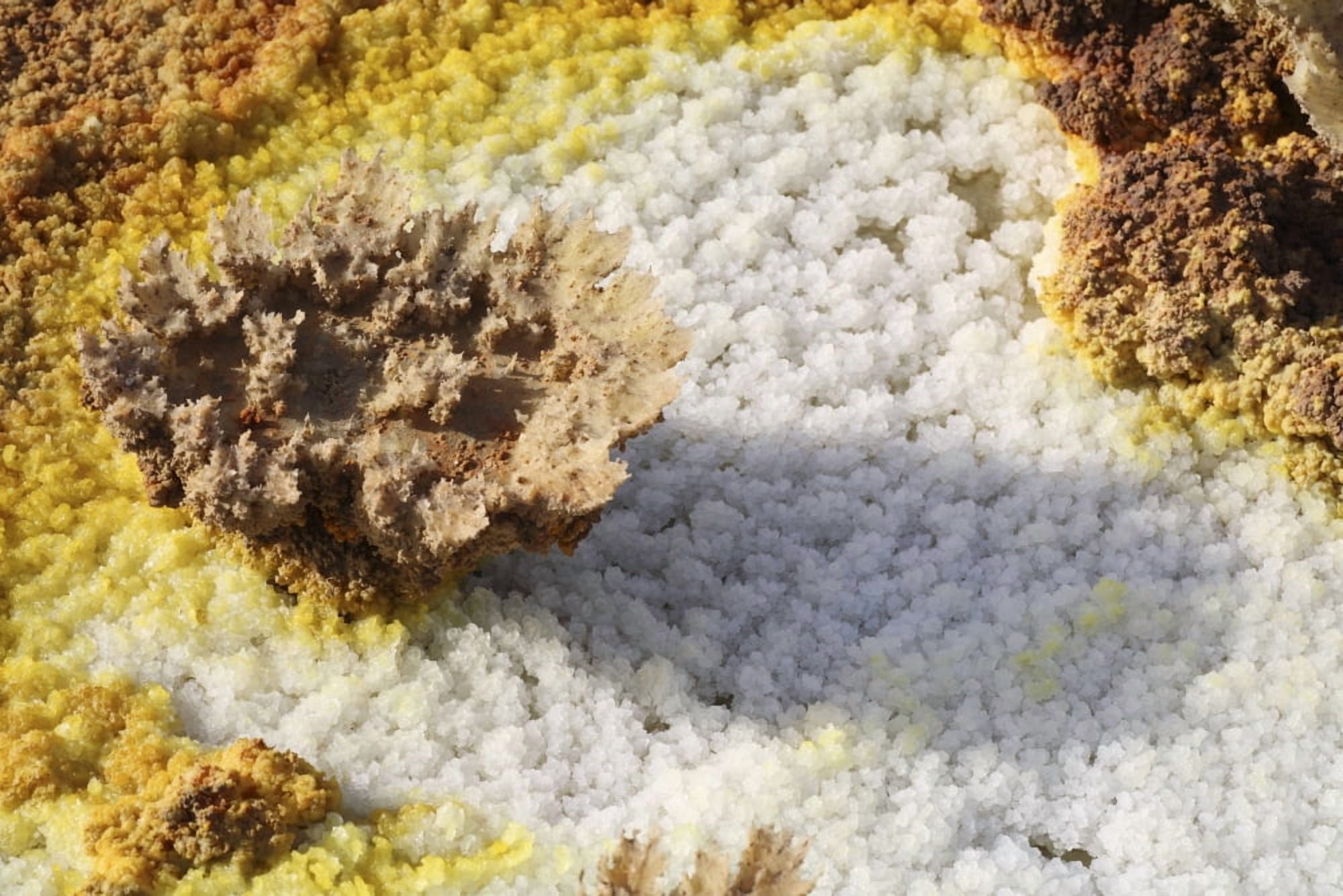 Potassium salt deposits Dallol geothermal area Danakil Depression Ethiopia Canvas Art - Richard RoscoeStocktrek Images (18 x 12)
