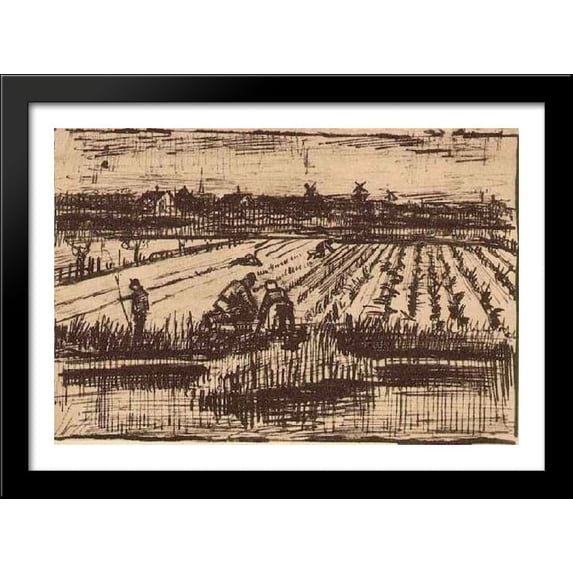 Potato Field 40x28 Large Black Wood Framed Print Art by Vincent van Gogh