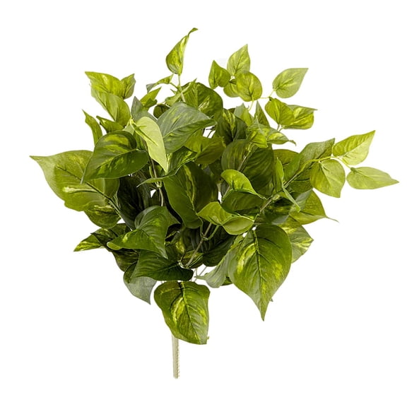 Pothos Bush Real Touch Collection by Ashland