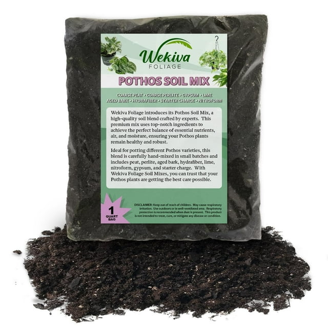 Pothos Growing Soil Mix 10 Quarts Custom Soil Blend Potting Mix for