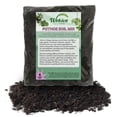 thumbnail image 1 of Pothos Growing Soil Mix  4 Quarts - Custom Soil Blend  Potting Mix for Pothos Plants  Specially Developed by and for Professional Nursery Growers - Nutrient-Rich Formula, 1 of 7