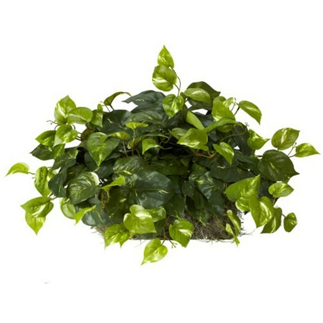 Nearly Natural 15" Pothos Set on Foam Sheet Artificial Plant, Green