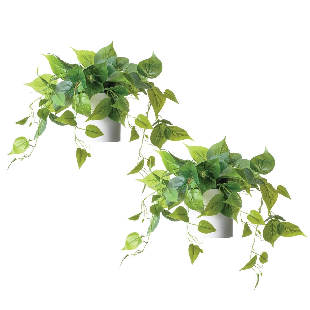 Elegant Potted White Pothos Ivy, 13in Plastic Outdoor Plant