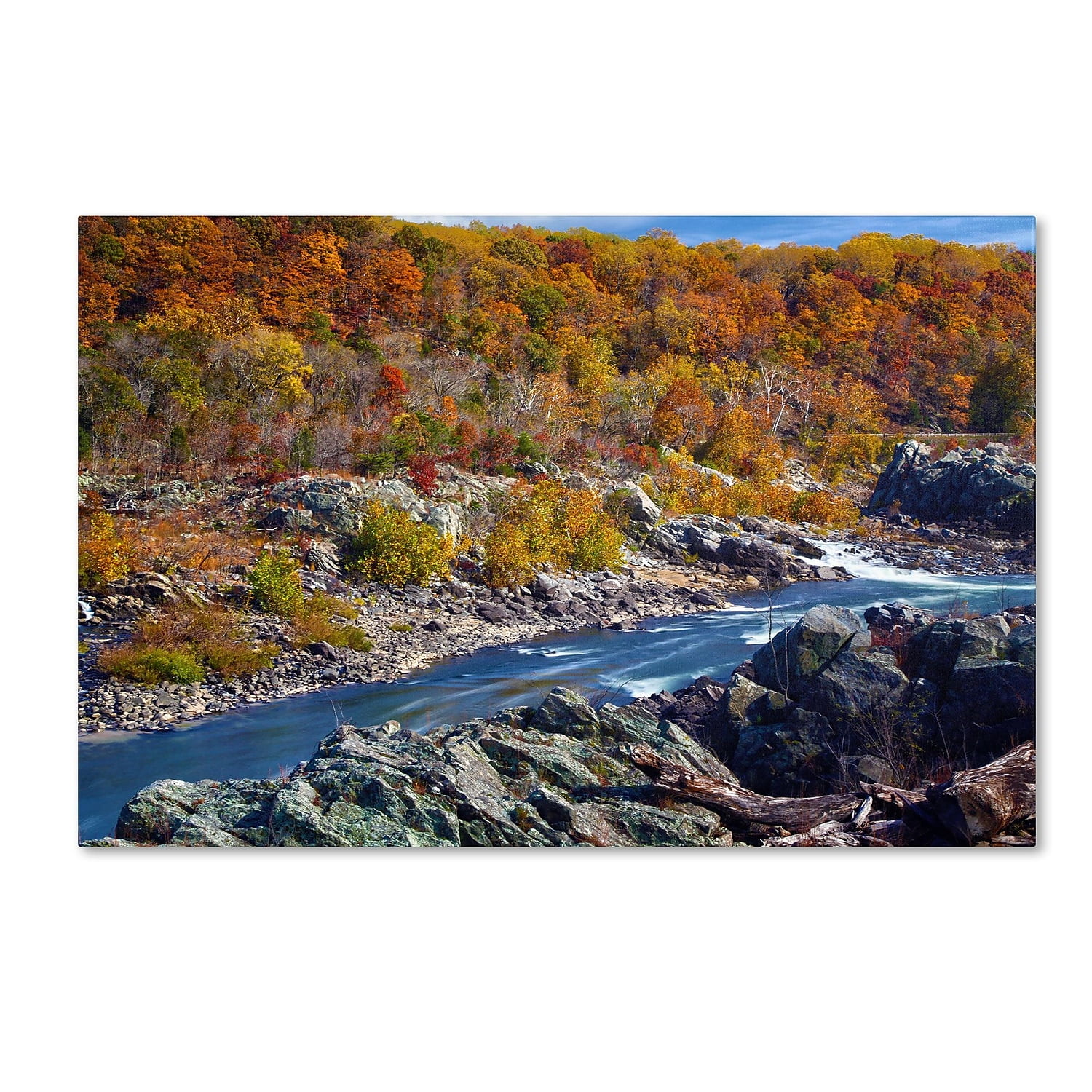 "Potomac Autumn" Canvas Art by CATeyes