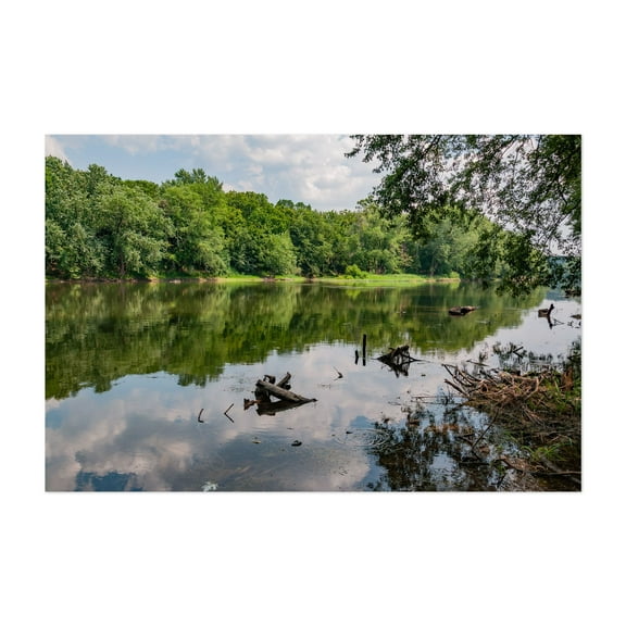 The Potomac River Shoreline on a Hot Summer Afternoon - Leesburg Virginia Photography Lake Nature Scenic Water Wilderness Forest Landscape Unframed Wall Art Print 4 x 6 inches