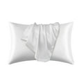 thumbnail image 1 of Potrochi ShopBedding Satin Pillowcase for Hair and Skin Silk Pillowcases 2 Pack, Luxury Satin Pillowcases with Zipper Closure, Satin Pillow Case Cover(20x30 Inches), 1 of 6