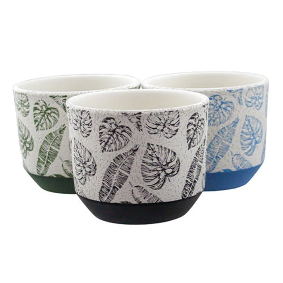 Pots Tropical Leaves 12pc PDQ