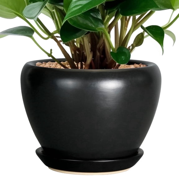 Stillaflora 6 inch Matte Black Small Ceramic Decorative Planter with Drainage Hole & Saucer, Modern Round Indoor Flower Pot for Succulents, Cactus