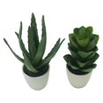 thumbnail image 1 of Potted Faux Aloe And Faux Jasmine Plants, Set of Two-Color:Green,Style:Botanical, 1 of 2