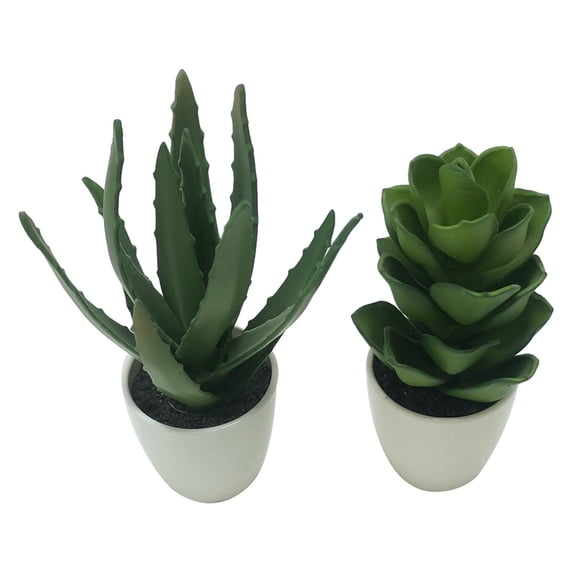 Potted Faux Aloe And Faux Jasmine Plants, Set of Two-Color:Green,Style:Botanical