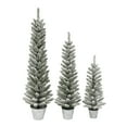 thumbnail image 1 of Potted Flocked Pencil Trees in 3ft, 4ft & 5ft sizes, 322 Tips, Galvanized Pots, 1 of 2
