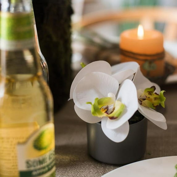 Potted Flower Mini Real Touch Potted Orchid in White