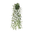 thumbnail image 1 of Potted Hanging Vine, Cosmug Wall Foliage Decor, Indoor Shelf Ornament, for Wall Mount Styling, Window Arranging and Cabinet Display, Style I, 1 of 3
