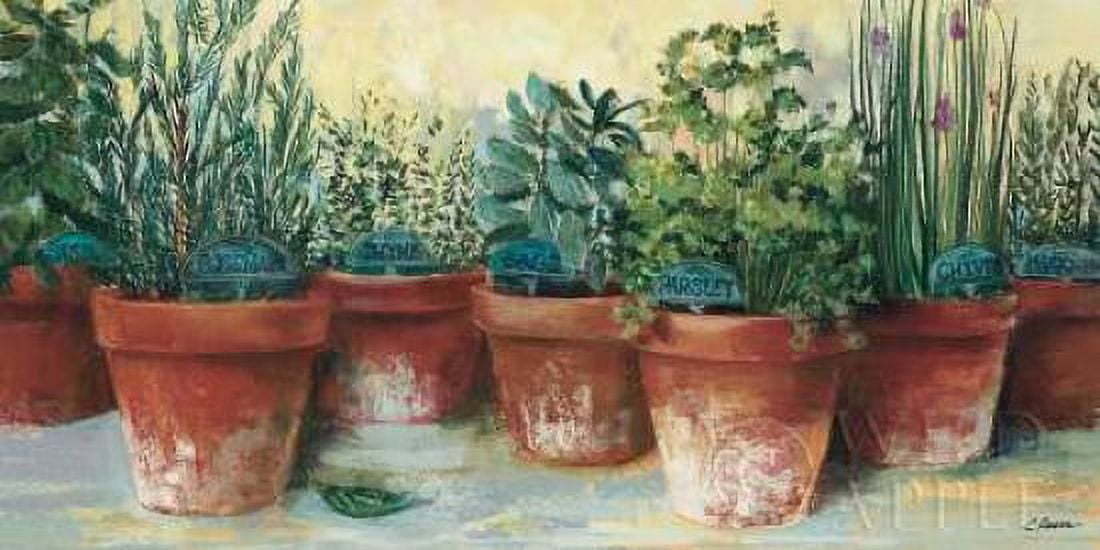 Potted Herbs II Canvas Art - Carol Rowan (24 x 48)
