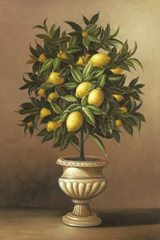 Potted Lemon Tree Canvas Art - Welby (24 x 36)