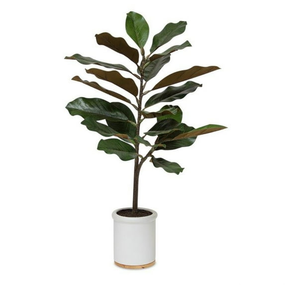 Potted Magnolia Plant (Set of 2) 31"H Polyester/Ceramic