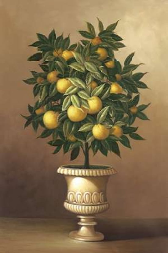 Potted Orange Tree Canvas Art - Welby (12 x 18)