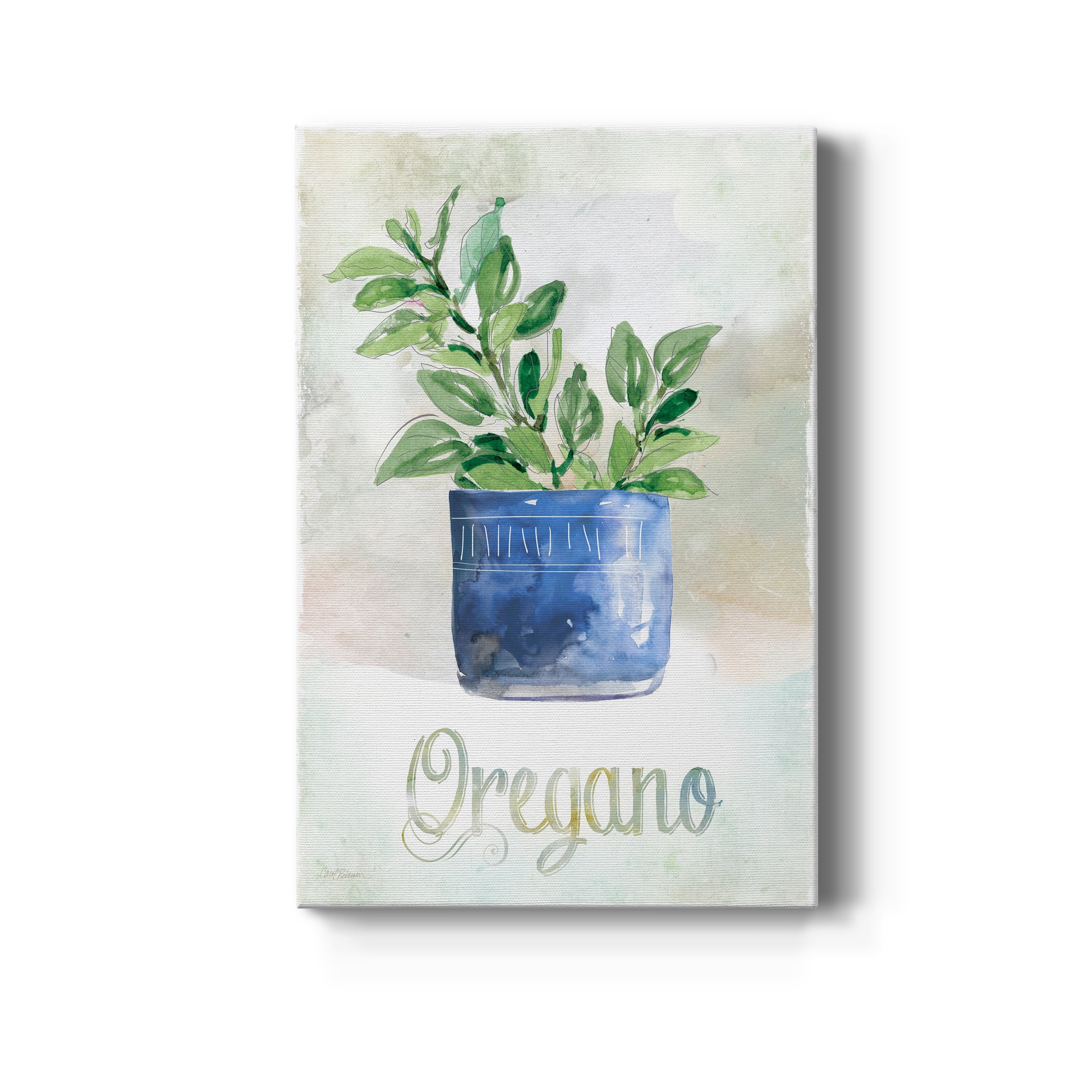 Potted Oregano Premium Gallery Wrapped Canvas - Ready to Hang - 40 x 60