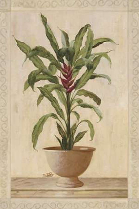 Potted Palm II Canvas Art - Welby (24 x 36)